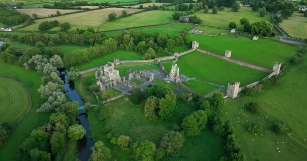 通缉令在一张绿地和开花树木的照片中 是爱尔兰城堡的广阔遗迹 11世纪城堡Kells Priory — 图库视频影像