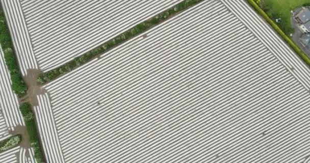 Havadan Dairesel Panorama Rlanda Meyveler Için Seralar Çilekli Büyük Ticari — Stok video