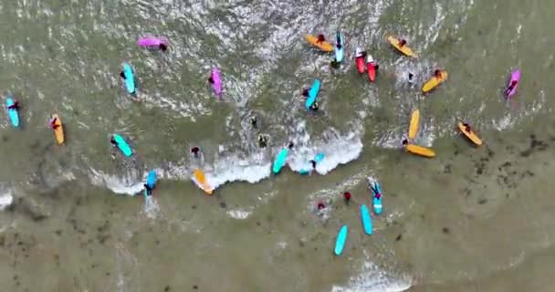 Powietrza Widok Kolorowe Deski Surfingowe Surferzy Zebrali Się Jazdy Koncepcja — Wideo stockowe