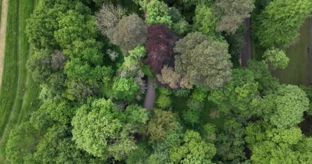 Вид Воздуха Живописные Деревья Луга Пейзаж Килкенни Ирландия Высококачественные Кадры — стоковое видео