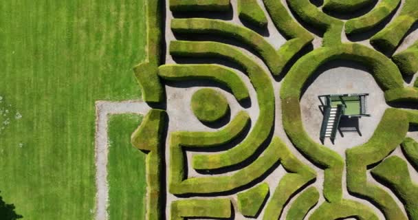 Εναέρια Πράσινος Λαβύρινθος Στο Πάρκο Επανδρωμένη Άποψη Από Ψηλά Ντάμποντυ — Αρχείο Βίντεο