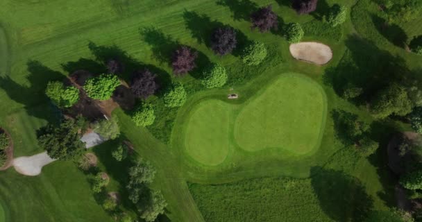 Skudt Fra Drone Der Fløj Golfklub Smuk Golfbane Med Bølgende – Stock-video