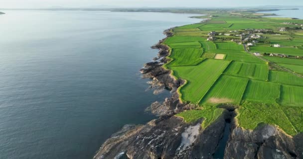爱尔兰的边疆 岩石海岸 野生大西洋路的景观 凯尔特海的海水爱尔兰胡克角半岛美丽的地点5K — 图库视频影像