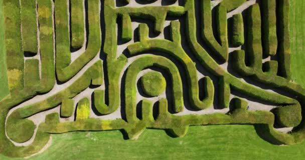 Letecký Zelený Labyrint Parku Pohled Shora Bezpilotní Letadlo Dunbrody Abbey — Stock video