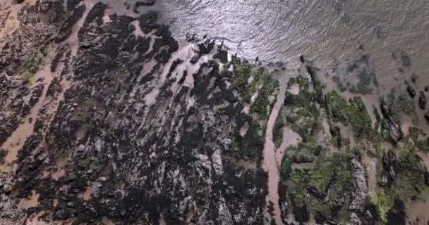 Marinhas Rochosas Paisagens Costa Atlântica Praia Selvagem Águas Mar Céltico — Vídeo de Stock