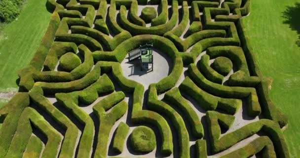 Aéreo Labirinto Sebes Num Parque Urbano Árvores Labirinto Nos Arbustos — Vídeo de Stock