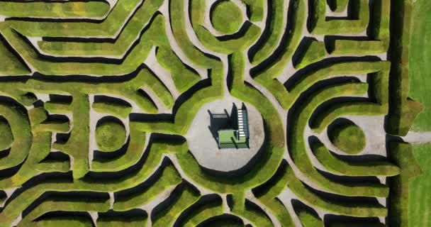 Een Doolhof Een Stadspark Taxusbomen Labyrint Struiken Dunbrody Abbey Tuin — Stockvideo