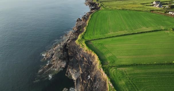 Kayalık Kıyılar Atlantik Okyanusu Yakınlarındaki Yeşil Arazi Manzaraları Kelt Denizi — Stok video