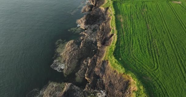 Havadan Kayalık Kıyılar Rlanda Daki Atlantik Kıyılarının Manzaraları Kelt Denizi — Stok video