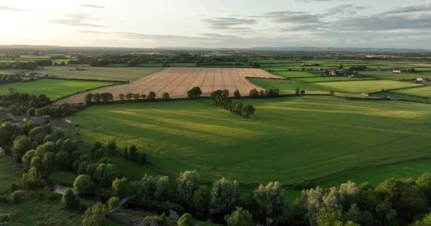 Luchtfoto Een Uniek Landschap Vliegen Groene Weiden Bij Zonsondergang Hoge — Stockvideo