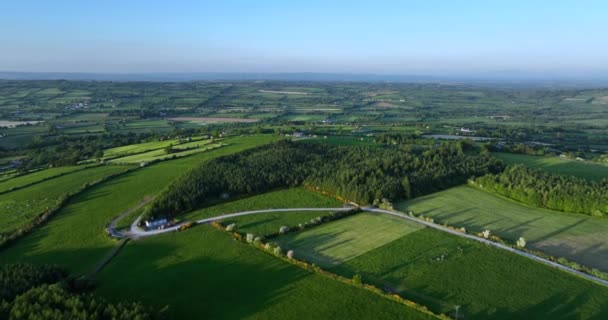 Luchtfoto Eindeloze Groene Grasvelden Van Ierland Vliegen Een Typisch Landschap — Stockvideo