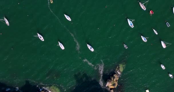 Flygfoto Segelbåtar Förankrade Vik Vid Dunmore East Irland Högkvalitativ Film — Stockvideo