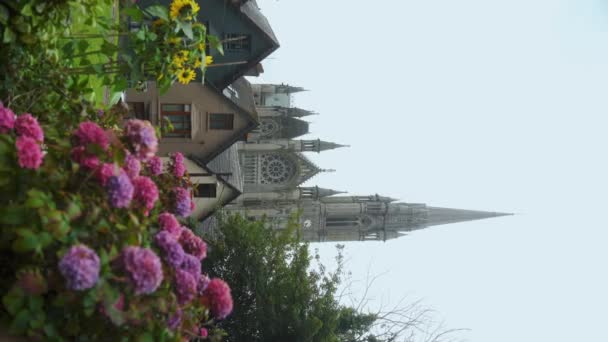 垂直に リールズ アイルランドのセネツィア大聖堂 高品質の4K映像 — ストック動画