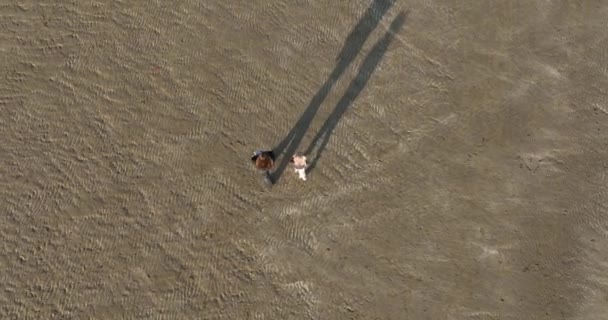 エアリアル 砂浜の空中ビューに小さな子供とママ 高品質の4K映像 — ストック動画