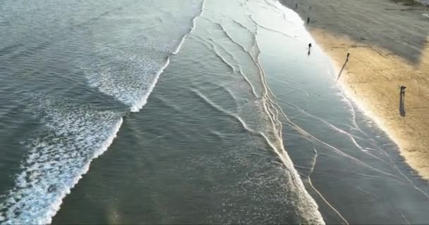 Powietrza Górny Widok Plażę Falami Ludzie Spacerujący Plaży Zachodzie Słońca — Wideo stockowe