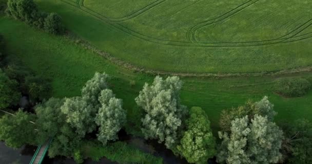 Powietrza Starożytny Zamek Ustawiony Tle Zielonych Dales Irlandii Kells Priory — Wideo stockowe