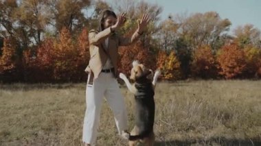 Güzel bir kız bir köpeği eğitiyor. Beagle arka ayaklarının üzerinde duruyor ve zıplıyor. Beagle. Sonbahar Konsepti: Köpek insanın en iyi dostudur, hayvanları sever. Kyiv. Ukrayna 2019