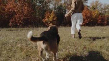 Mutlu kadın av köpeğiyle oynuyor. Parkta koşmak. Spor sağlık mutlu aile çocuk rüya konsepti. Parkta koşan bir av köpeği. Kyiv 2019 Yavaş Hareket