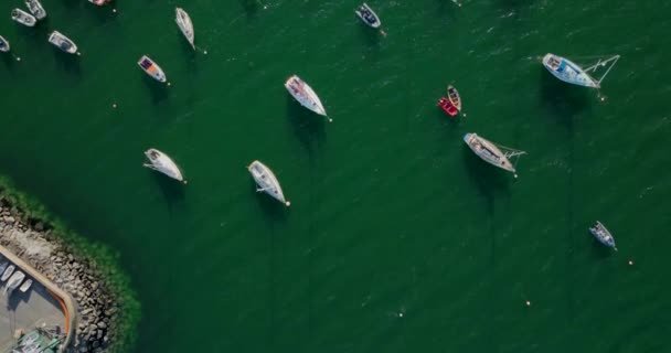 Leć Nad Żaglówkami Zakotwiczonymi Zatoce Dunmore East Irlandii Wysokiej Jakości — Wideo stockowe
