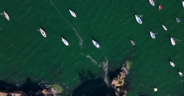 Flygfoto Segelbåtar Förankrade Vik Vid Dunmore East Irland Högkvalitativ Film — Stockvideo
