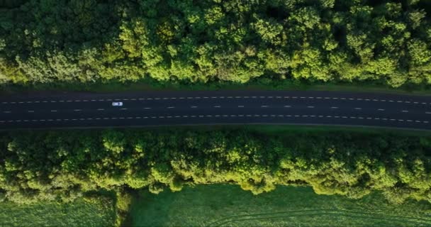 Вид Сверху Трассу Покрытую Зелеными Деревьями Зеленой Травой Проезжаю Мимо — стоковое видео