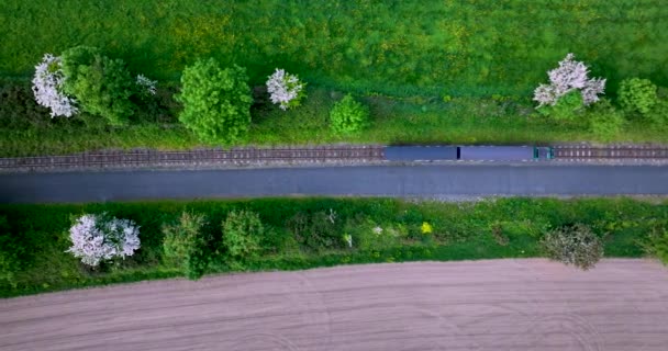 子どもの鉄道の空中観察 ウォーターフォード スエアバレー鉄道 ダンガルバン鉄道 子供のためのミニチュアゼラチノスロード 高品質の4K映像 — ストック動画