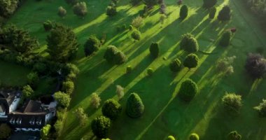 Havadan. Yeşil golf sahası ve güneşli bir yaz gününde zarif gölgeler bırakan uzun ağaçlar. Gün doğumu. İrlanda 4k