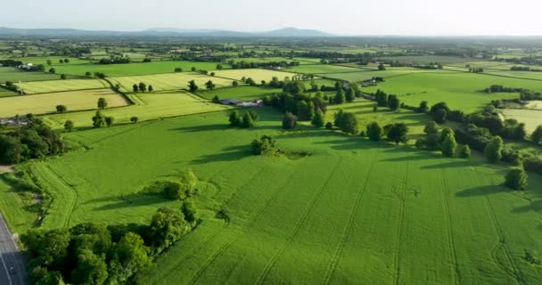 爱尔兰的绿地令人难以置信 从空中俯瞰绿地 基尔肯尼爱尔兰 高质量4K — 图库视频影像