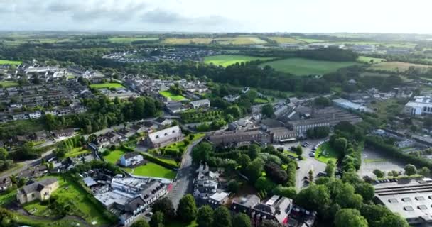 Udara Atas Kepala Burung Pandangan Mata Kastil Blarney Cork Irlandia — Stok Video