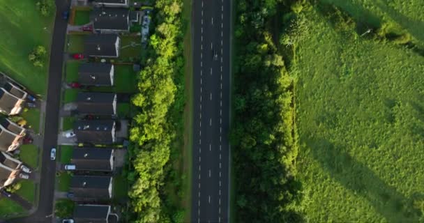 Воздушный Вид Вершины Дороги Красивые Дома Скрывающиеся Зелеными Деревьями Вдоль — стоковое видео