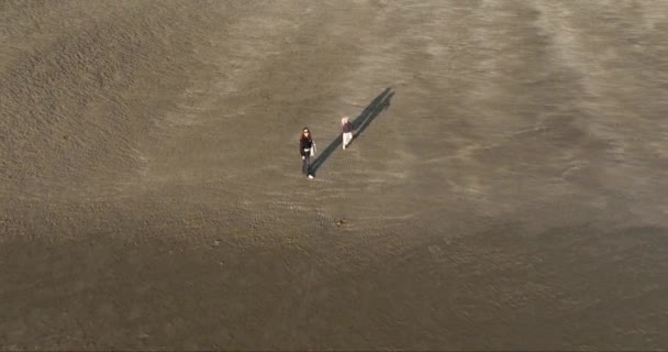 Powietrza Matka Małym Dzieckiem Opuszczonej Piaszczystej Plaży Widokiem Ptaki Dziewczyna — Wideo stockowe