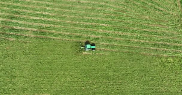 Letecká Fotografie Zelený Traktor Projíždí Zelenou Loukou Seká Trávu Kamera — Stock video