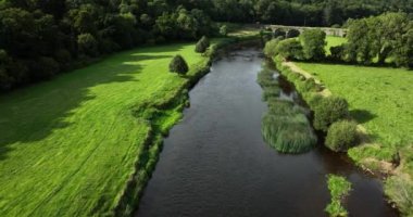 Resimli ağaçların ve çayırların arka planında Nore Nehri. Yüksek kalite 4k görüntü