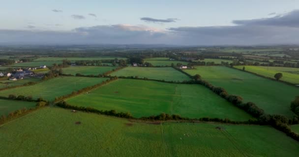 Luchtfoto Een Groene Vallei Een Ongelooflijke Zonsopgang Het Ierse Platteland — Stockvideo