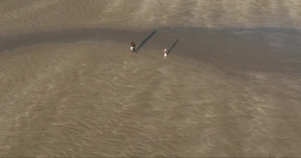 Powietrza Mama Małym Dzieckiem Opuszczonej Piaszczystej Plaży Widok Lotu Ptaka — Wideo stockowe
