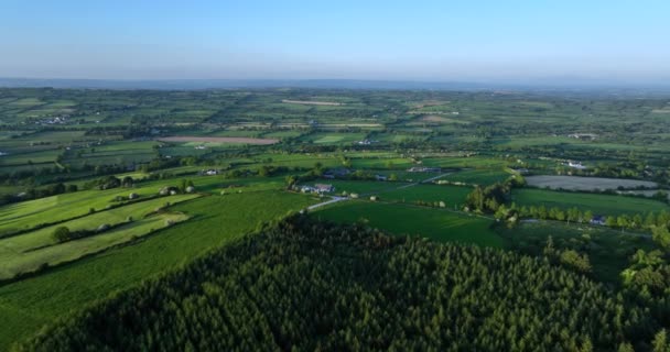 Antenne Die Endlosen Grünen Grasfelder Irlands Fliegen Über Eine Typische — Stockvideo