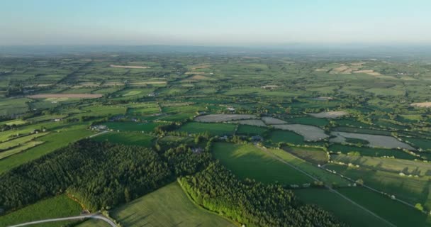 Die Endlosen Grünen Grasfelder Irlands Fliegen Über Eine Typische Landschaft — Stockvideo