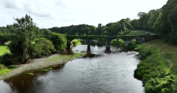 Powietrza Starożytny Kamienny Most Tle Rzeki Nore Pięknej Zielonej Natury — Wideo stockowe
