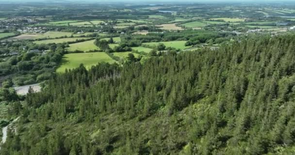 緑の谷の真ん中に統一された森の空中眺望 ドローンは木の上を飛んで 自然の背景を撮影しました アイルランド 高品質の4K映像 — ストック動画