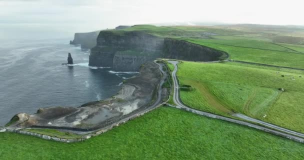 Klipporna Vid Moher Och Atlantic Ocean Irlands Mest Kända Landmärke — Stockvideo