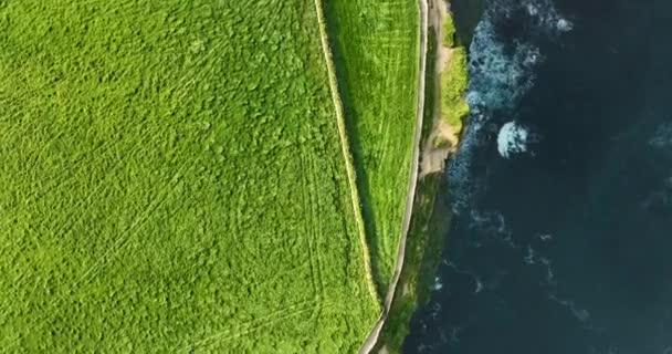 Powietrza Klify Stromej Przepaści Moher Irlandia Cel Turystyczny Widok Lotu — Wideo stockowe