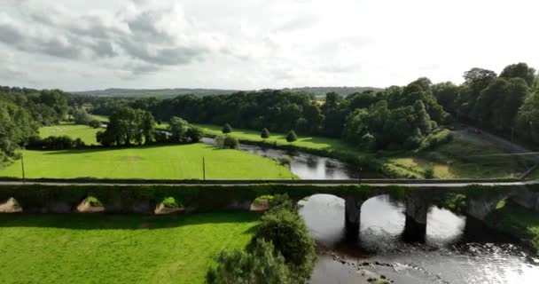 エアリアル ノーレ川は 自然の夏の緑に対する古代の橋の背景に対して キルケニー インティスジョージ アイルランド 高品質の4K映像 — ストック動画