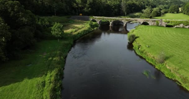 Légi River Nore Hátterében Egy Ősi Híd Ellen Nyári Növényzet — Stock videók