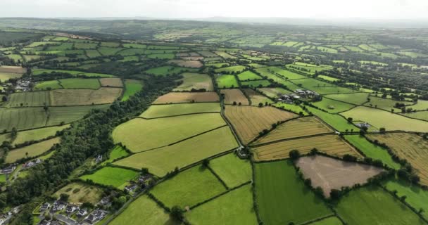 Antenne Irland Ländliche Landschaft Luftaufnahme Ackerland Felder Und Stadtlandschaften Wege — Stockvideo