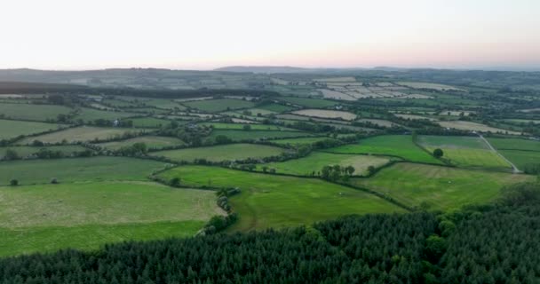 Eindeloze Groene Grasvelden Van Ierland Vliegen Een Typisch Landschap Hoge — Stockvideo