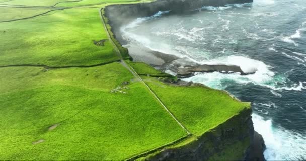 Luchtfoto Kliffen Van Moher Steile Afgrond Ierland Toeristische Bestemming Luchtfoto — Stockvideo