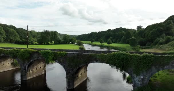エアリアル クローズアップ 古代の石造りの橋の上を飛行する ノーレ川の背景とアイルランドの美しい緑の自然に対する古代の石橋 キルケニー インティスジョージ アイルランド 4Kについて — ストック動画