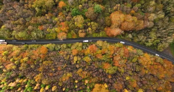 Vista Aérea Carretera Rural Con Mucho Tráfico Bosque Otoño Amarillo — Vídeos de Stock