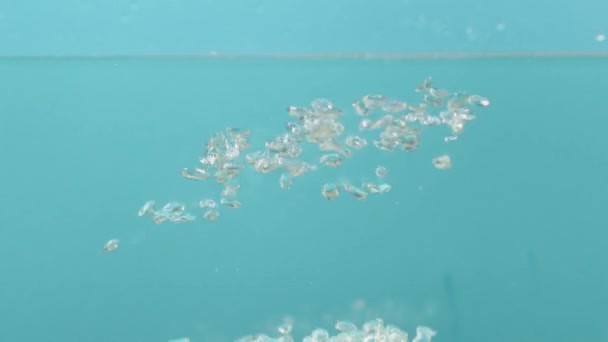 Пузырьки Воздуха Воде Поднимаются Вверх Голубом Фоне Высококачественные Fullhd Кадры — стоковое видео
