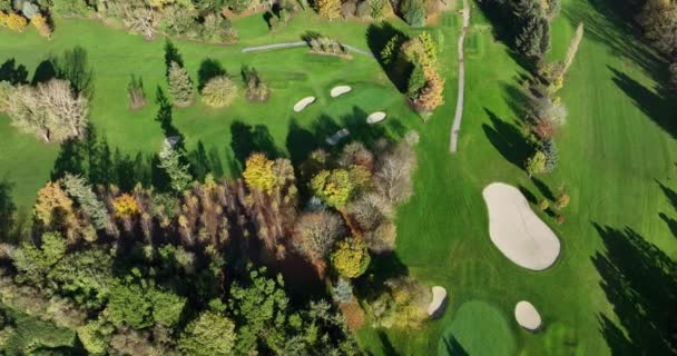 Antenne Drohne Fliegt Über Golfclub Grünes Gras Und Gelbe Bäume — Stockvideo